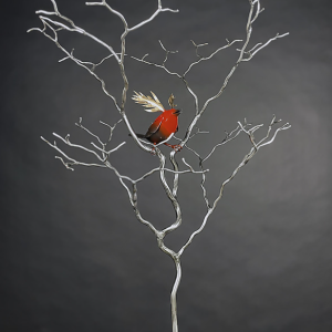 Bird By CMW