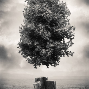 Defy by TI