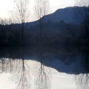 trilogy reflections by AD