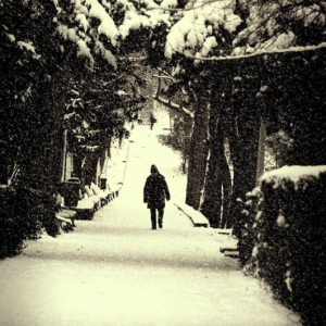 Cold Day - by DCL