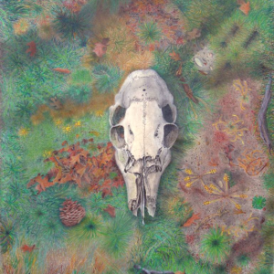SKULL BY DM